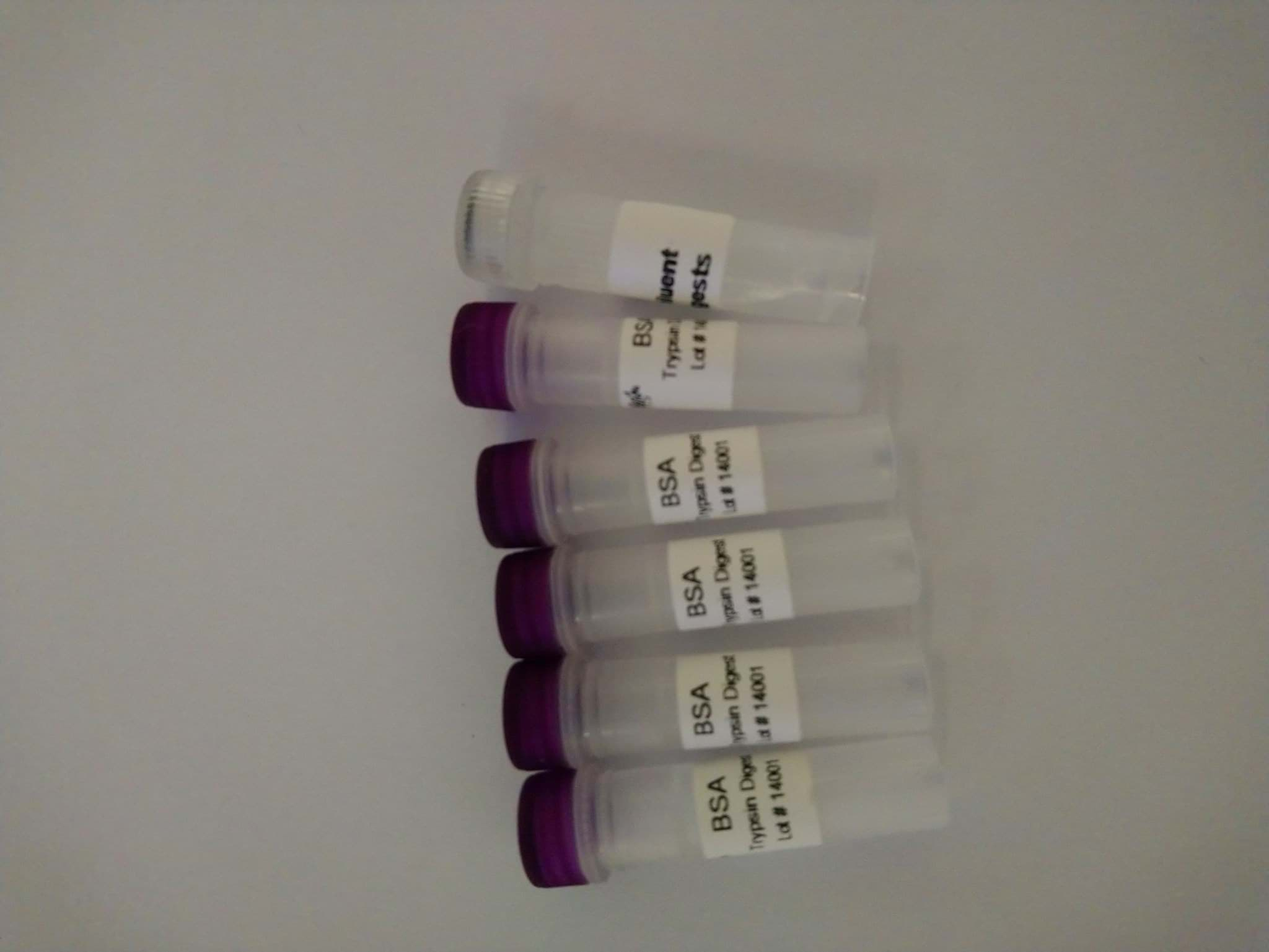 Picture of BSA trypsin digest; 5 x 50 pmol